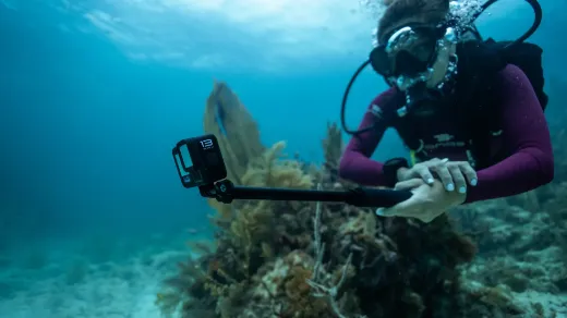 Picture of GoPro HERO 13 - Black